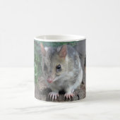 Mug Quoll de la Tasmanie (Centre)