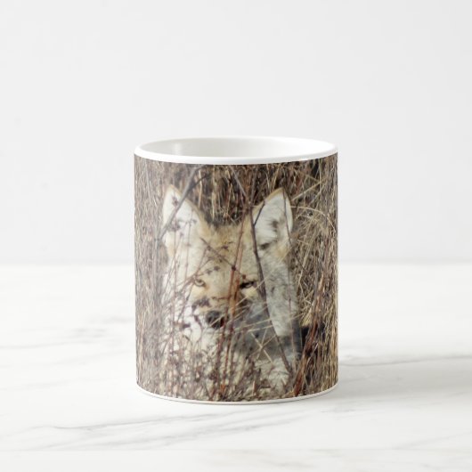 Mug R21 Coyote "Vous regarder" (Centre)