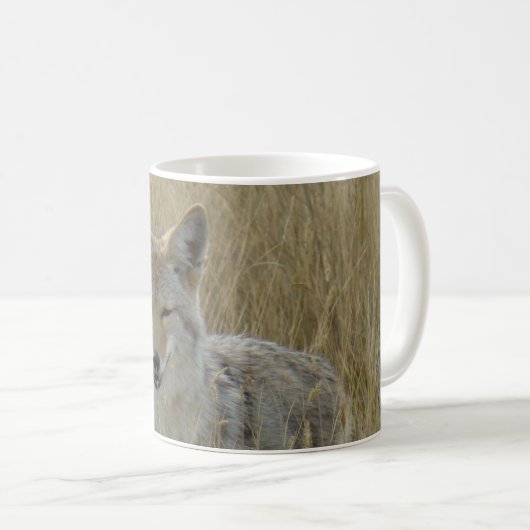 Mug R2 Coyote en herbe haute (Devant droit)
