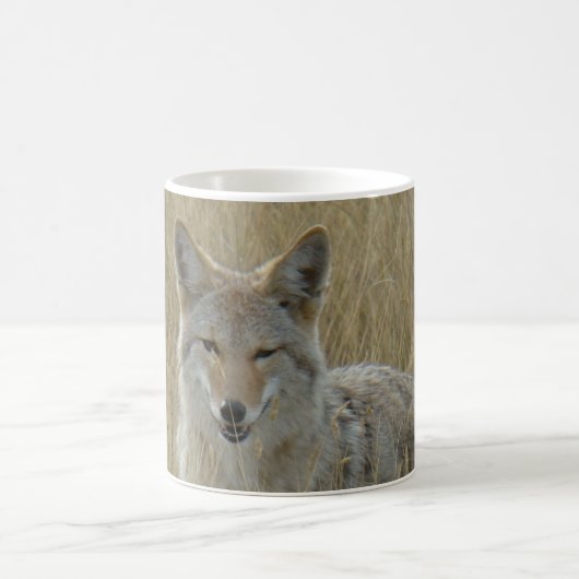 Mug R2 Coyote en herbe haute (Centre)
