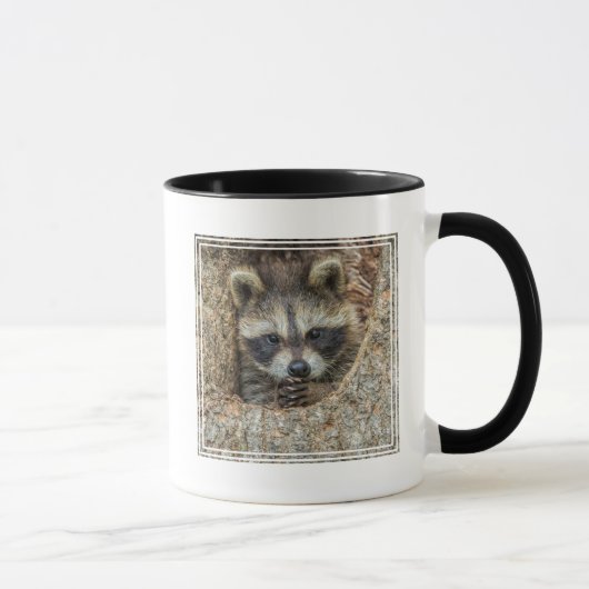 Mug Raccon niché à l'intérieur d'un creux d'arbre (Droite)