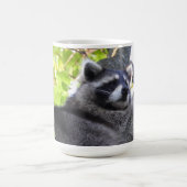 Mug Raccoon adorable dans un arbre (Centre)