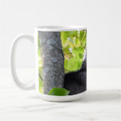 Mug Raccoon adorable dans un arbre (Gauche)