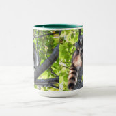 Mug Raccoon dans un arbre (Centre)