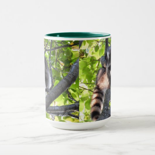 Mug Raccoon dans un arbre (Centre)