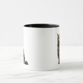 Mug Ragondin du Maine (8 mois) (Centre)