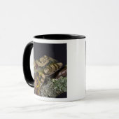 Mug Rainette à yeux rouges d'Afrique, Leptopelis (Devant gauche)