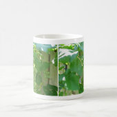 Mug Raisins aspermes blancs doux et juteux (Centre)