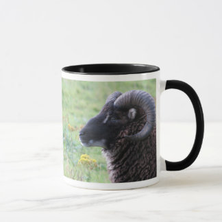 MUG RAM