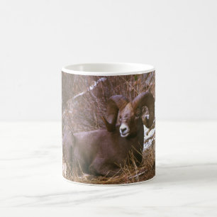 Mug RAM de repos