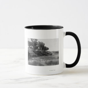 Mug Ranch de pièce en t de barre sur la photographie