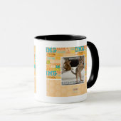 Mug Raptor Kitten (Devant droit)
