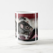 Mug Rat (Centre)