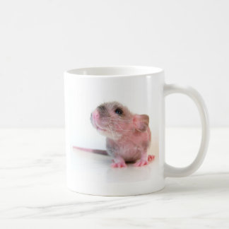 Mug Rat de Gobi de bébé