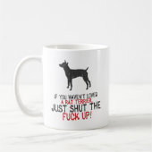 Mug Rat terrier (Gauche)
