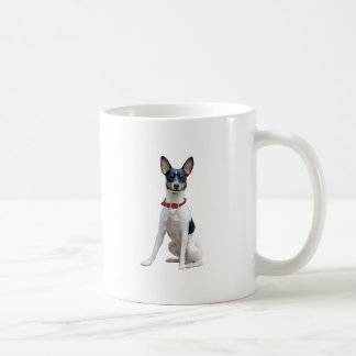 Mug Rat Terrier (A)