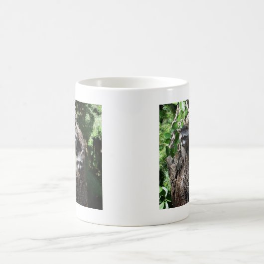 Mug Raton laveur - les trois amis (Centre)