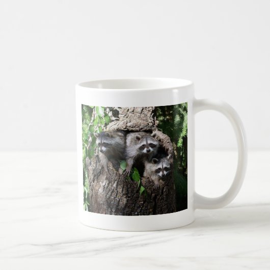 Mug Raton laveur - les trois amis (Droite)