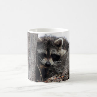 Mug Raton laveur somnolent