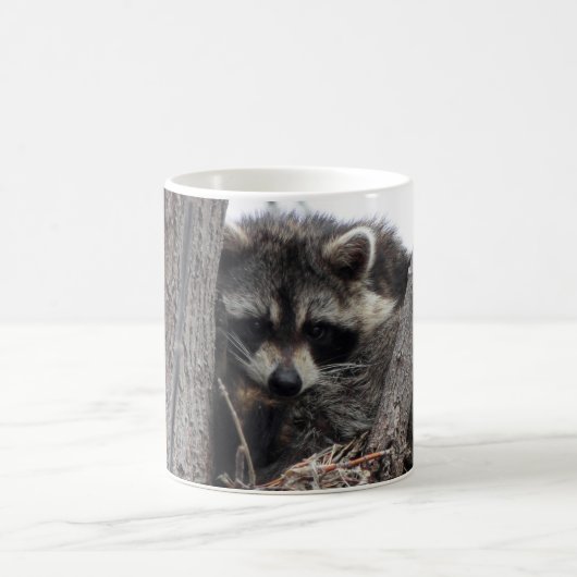 Mug Raton laveur somnolent (Centre)