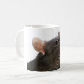 Mug Rats ! ! ! (Devant gauche)