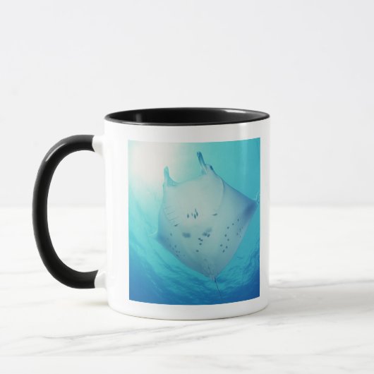 Mug Rayon (Gauche)