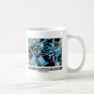 Mug Recherchant un rapport planctonique (diatomées)