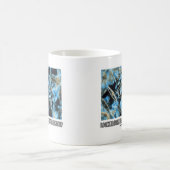 Mug Recherche D'Une Relation Planctonique Diatomées (Centre)