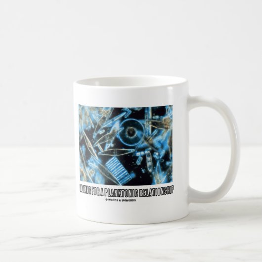 Mug Recherche D'Une Relation Planctonique Diatomées (Droite)