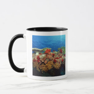 Mug Récif pittoresque des coraux durs, coraux mous