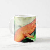 Mug Red Eft Salamander Nature Personnalisée (Devant gauche)