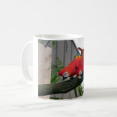 Mug Red Macaws 2.JPG (Devant gauche)