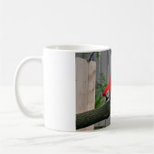 Mug Red Macaws 2.JPG (Gauche)