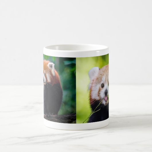 Mug Red Panda (Centre)