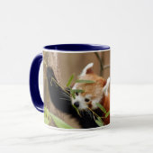 Mug red-panda-026 (Devant gauche)