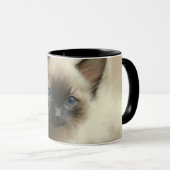 Mug Regard D'Innocence Siamese Kitten Portrait (Devant droit)