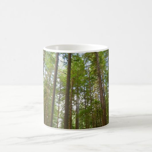 Mug Regard sur la forêt ancienne (Centre)