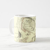 Mug Région vintage d'Anterolateral d'anatomie du crâne (Devant gauche)