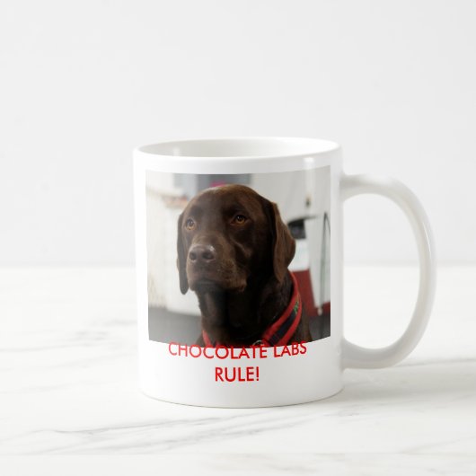 MUG RÈGLE DE LABORATOIRES DE CHOCOLAT ! (Droite)