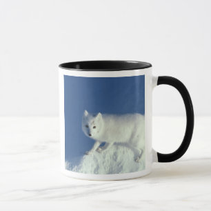 Mug Renard arctique Alopex lagopus) Un renard arctique