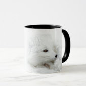 Mug Renard arctique recroquevillé en hiver (Devant droit)