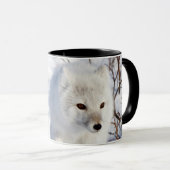 Mug Renard arctique, zone de gestion de la faune de Ch (Devant droit)