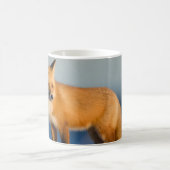 Mug Renard Brun (Centre)