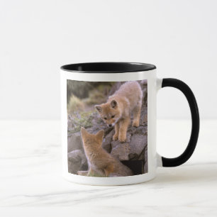 Mug Renard gris d'Amérique du Sud (Lycalopex griseus)