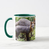 MUG RENARD MAGIQUE (Gauche)