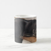 Mug Renard noir ou argenté américain (Vulpes fulvus) (Centre)