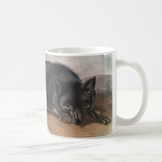 Mug Renard noir ou argenté américain (Vulpes fulvus) (Droite)
