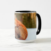 Mug Renard Rouge En Neige | Yukon (Devant droit)
