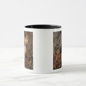 Mug renard rouge, Vulpes vulpes (Centre)