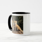 Mug Renard roux bébé devant terrier (Vulpes vulpes) (Devant gauche)